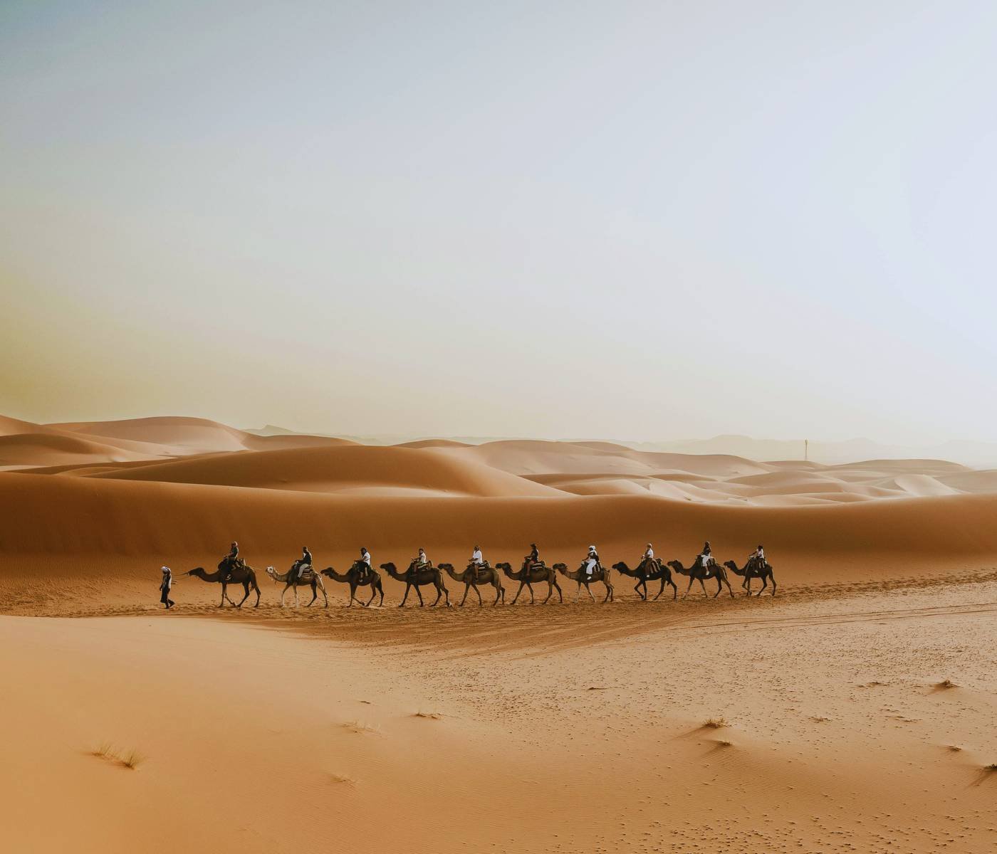 Activities in Merzouga